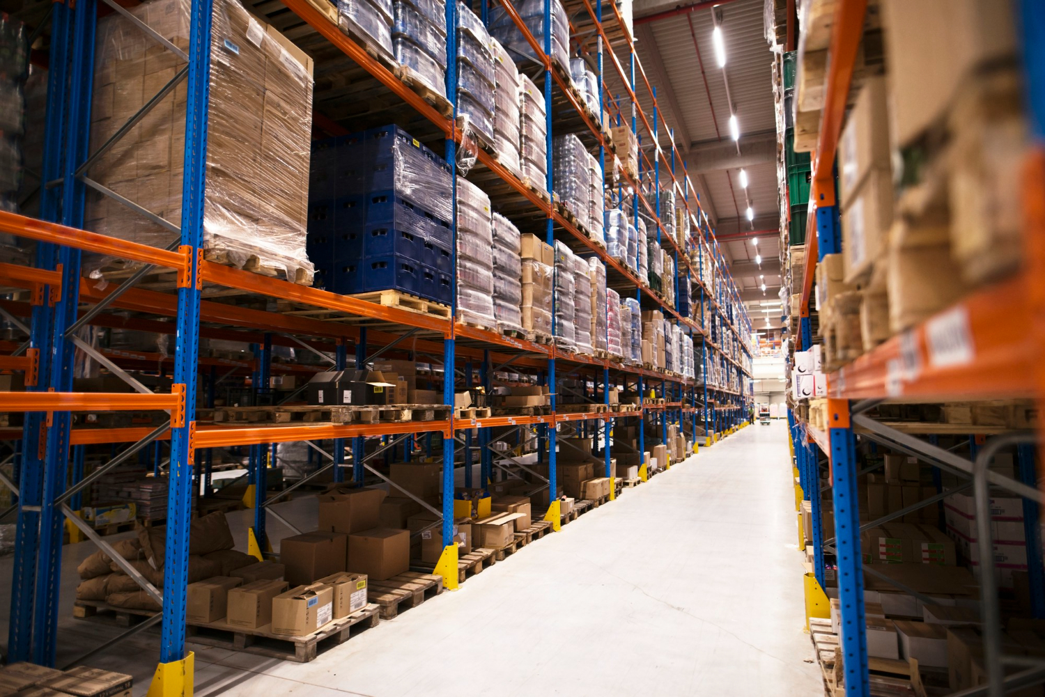 gudang cold storage