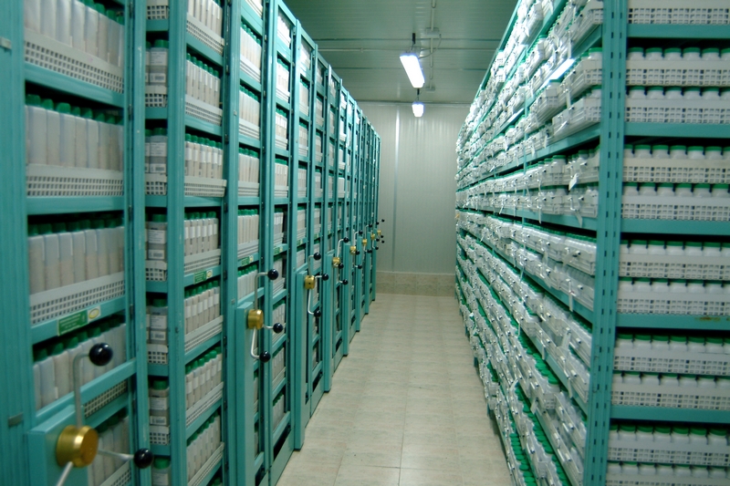 rental cold storage