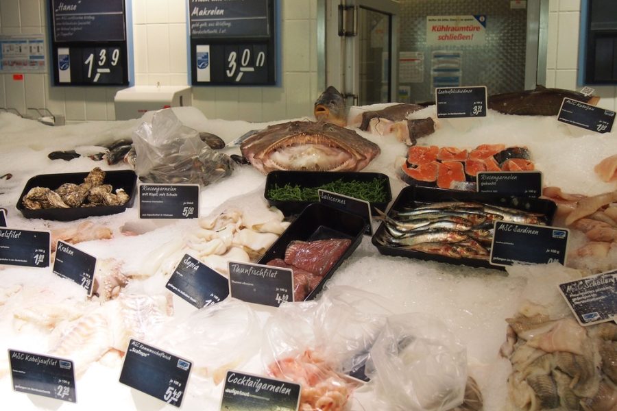 bisnis frozen food