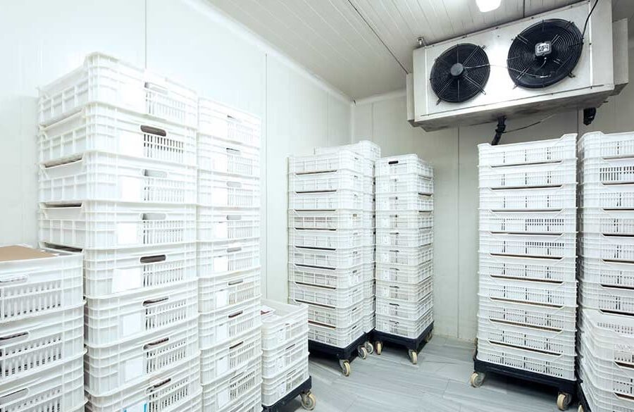Mengenal Cold Storage dan Harga Sewa Cold Storage